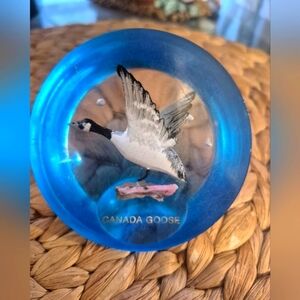 Blue Tint Paperweight with 3-d Canada Goose by Clearmount